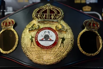 Россиянин официально стал чемпионом мира WBA без титульного боя