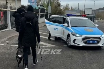 Пропавшего подростка нашли в горах Алматы вместе с друзьями