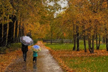 Үсік, қар, тұман: 20 қазанда Қазақстанда ауа райы күрт құбылады